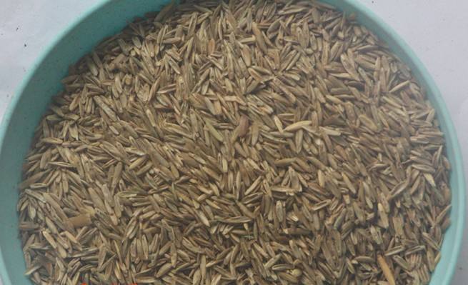 長沙東日?qǐng)@林工程有限公司,長沙園林綠化工程,長沙綠化養(yǎng)護(hù)管理 長沙東日?qǐng)@林工程有限公司,長沙園林綠化工程,長沙綠化養(yǎng)護(hù)管理